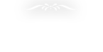 コース内容