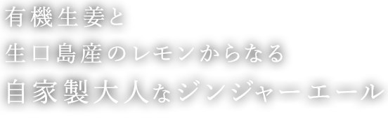 自家製大人なジンジャエール